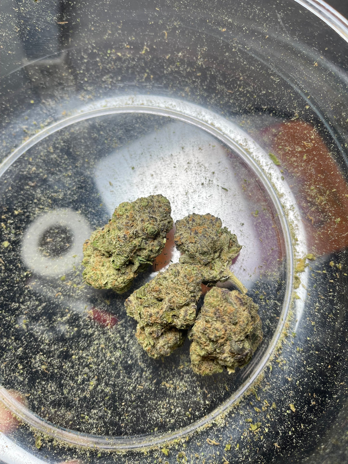 Glacier Pack ⭐️⭐️⭐️⭐️ THCA Flower (Bulk)