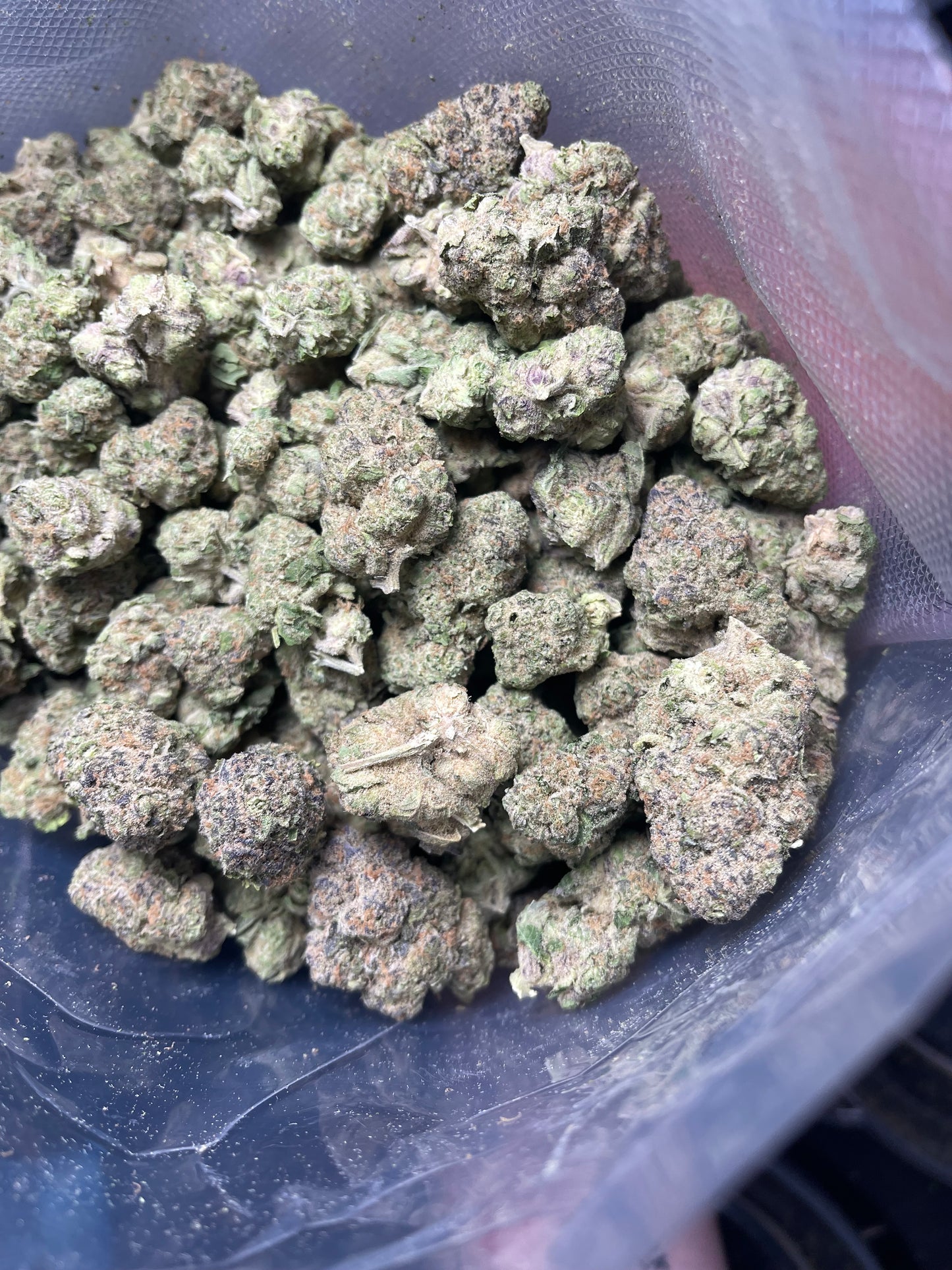 Glacier Pack ⭐️⭐️⭐️⭐️ THCA Flower (Bulk)