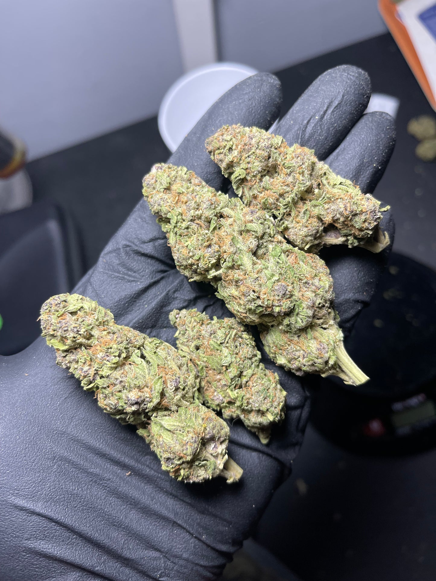 Glacier Pack ⭐️⭐️⭐️⭐️ THCA Flower (Bulk)