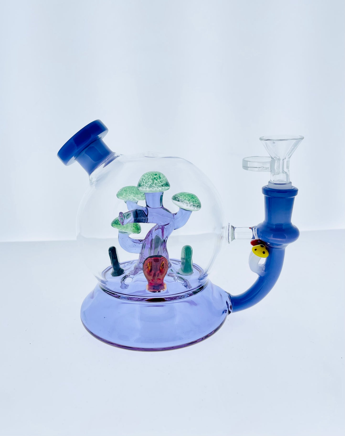 5" Terrarium Rig