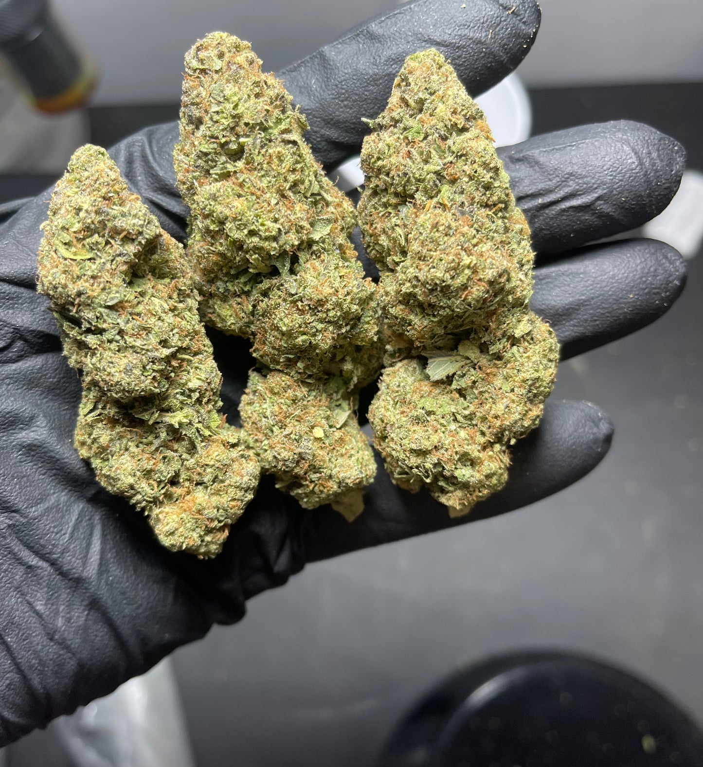 Glacier Pack ⭐️⭐️⭐️⭐️ THCA Flower (Bulk)