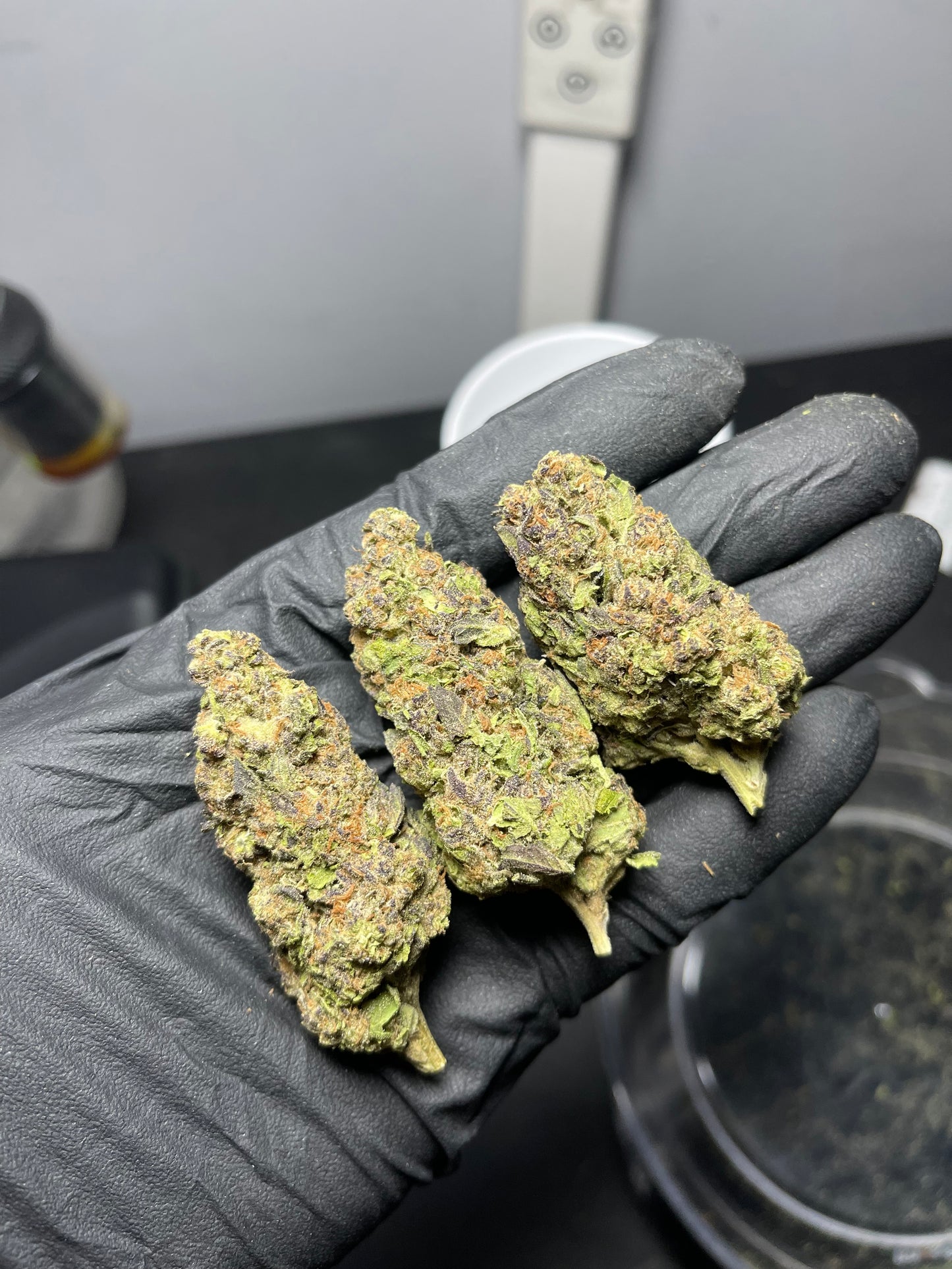 Glacier Pack ⭐️⭐️⭐️⭐️ THCA Flower (Bulk)