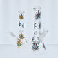 10" Leaf Decal Beaker