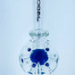 Phoenix Suspended Ball Rig w/ Color & Horn